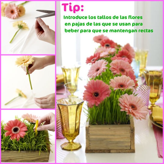 flores-paja1.jpg