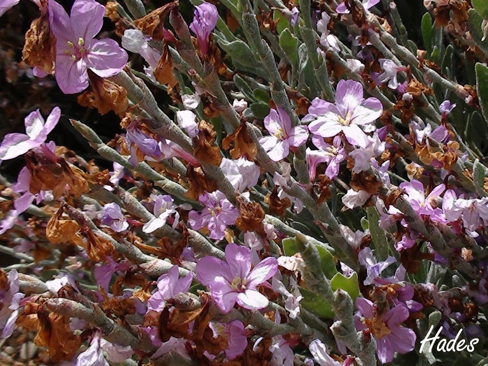 flores+papel.jpg