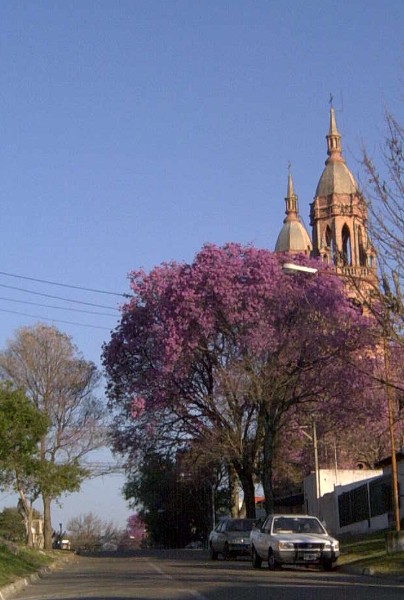 flores06.jpg