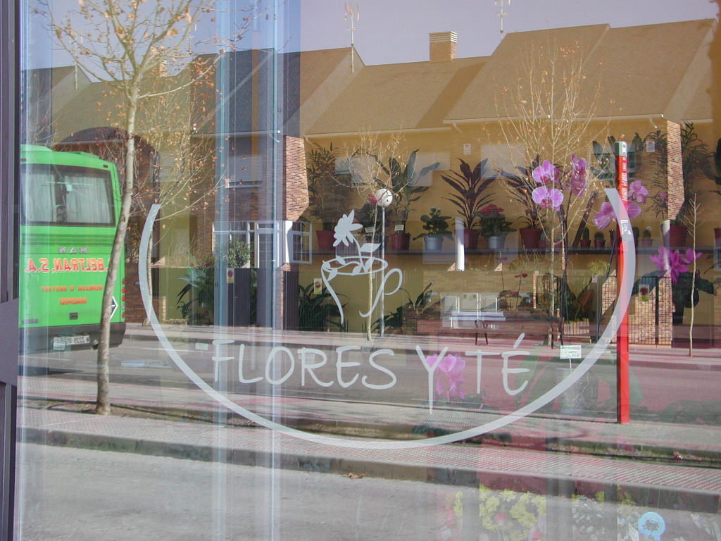 floresyte08.JPG