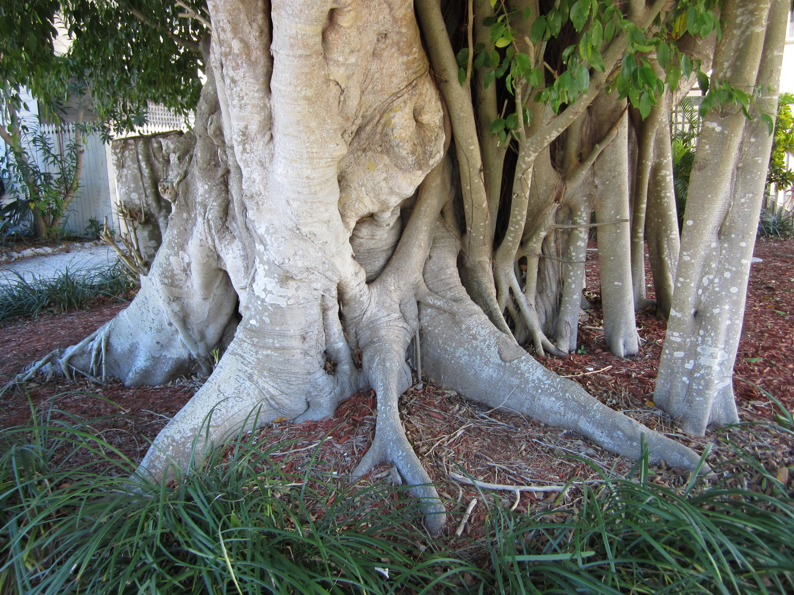 florida-10-010.jpg