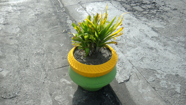Flower-pot-at-Dinagyand-Festival.jpg