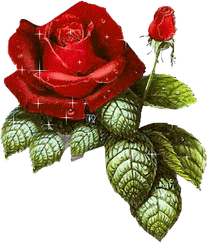 flower014.gif