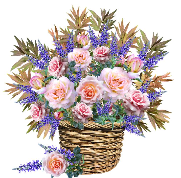 flowers-3340002_960_720.png