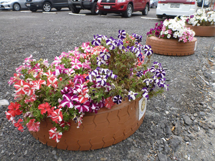 Flowers-in-Tires.jpg