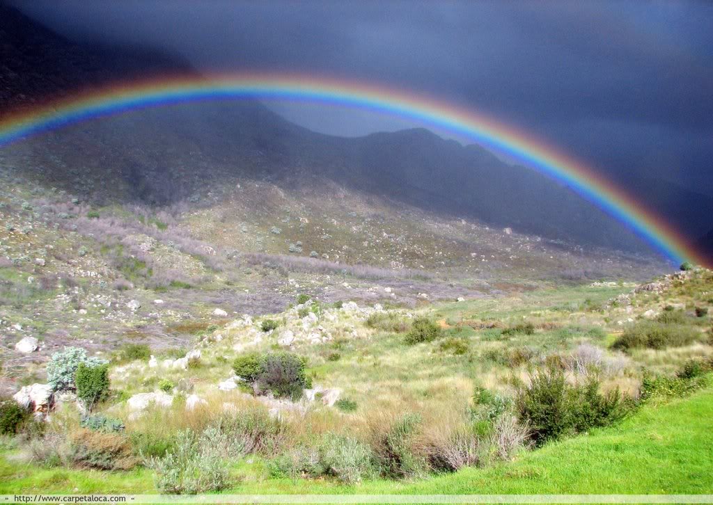 fondos_de_naturaleza_HauDz.jpg