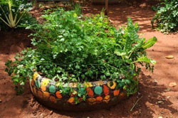FOOD_GARDENS_FOUNDATION_006.jpg