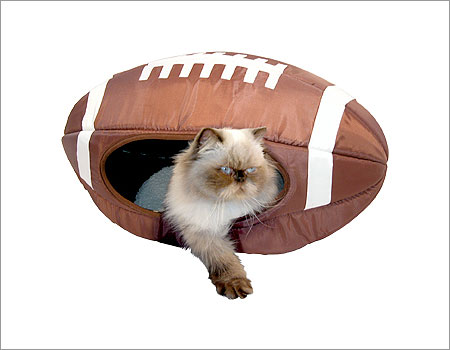 Football-Pet-Bed.jpg
