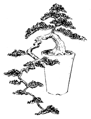 formal_cascade_2.jpg