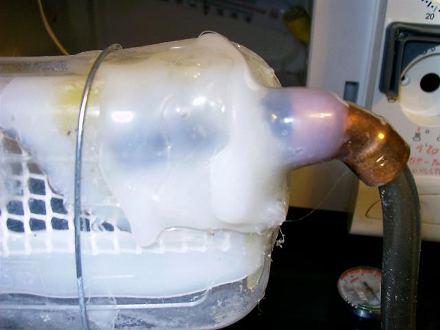 foro_006_IMAG0013.jpg