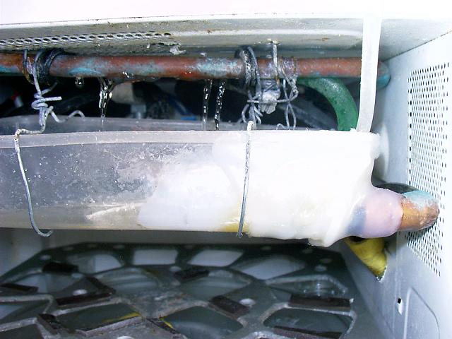 foro_008_IMAG0022.jpg
