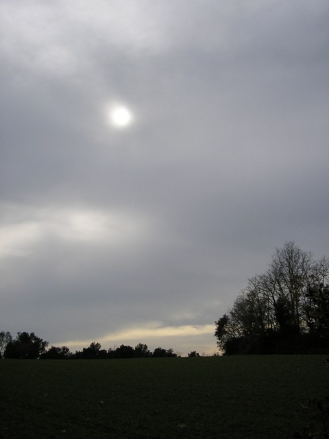 Fosil_074.jpg