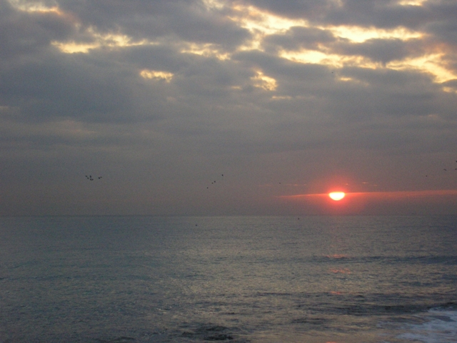 Fosil_146.JPG