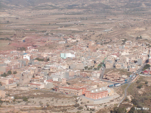fot01.jpg