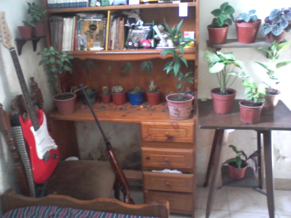Foto-0001-1.jpg