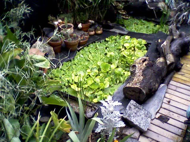 Foto-0002-2.jpg