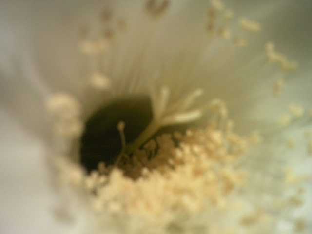 Foto-0002.jpg