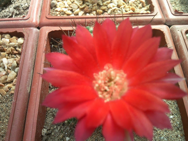 Foto-0002.jpg