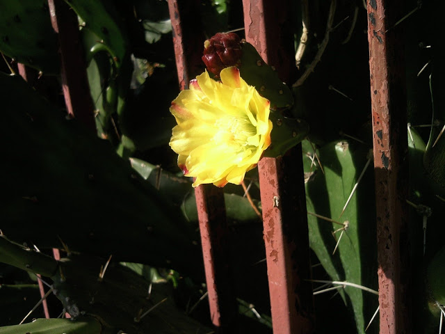Foto-0002.jpg