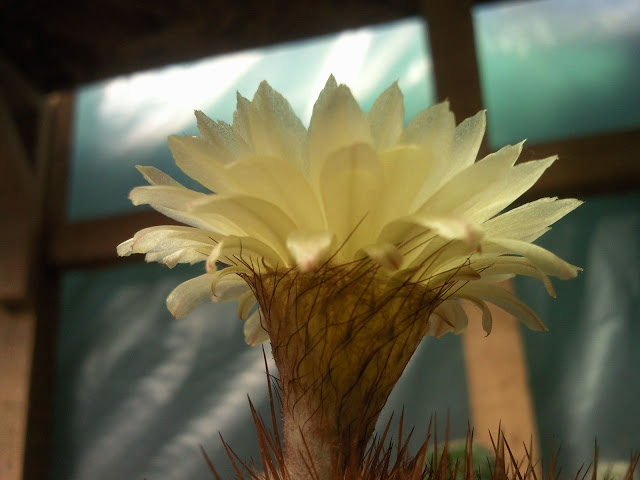 Foto-0007.jpg