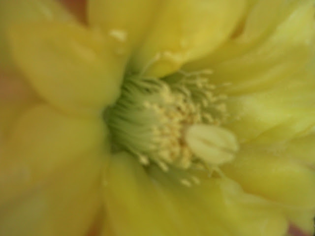 Foto-0007.jpg