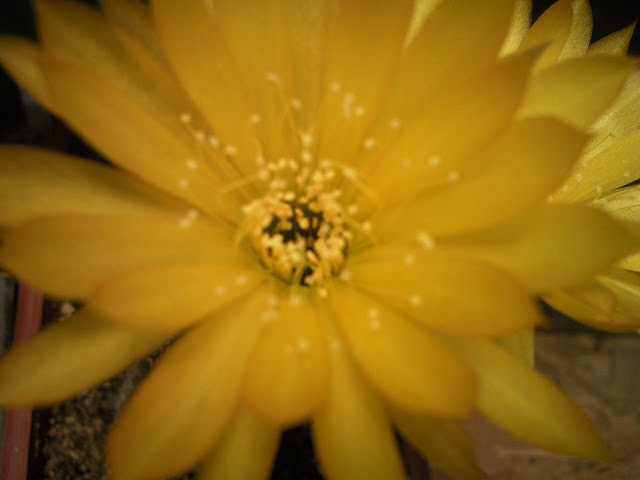 Foto-0007.jpg