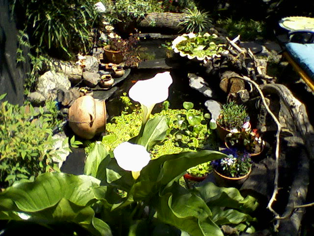 Foto-0008.jpg