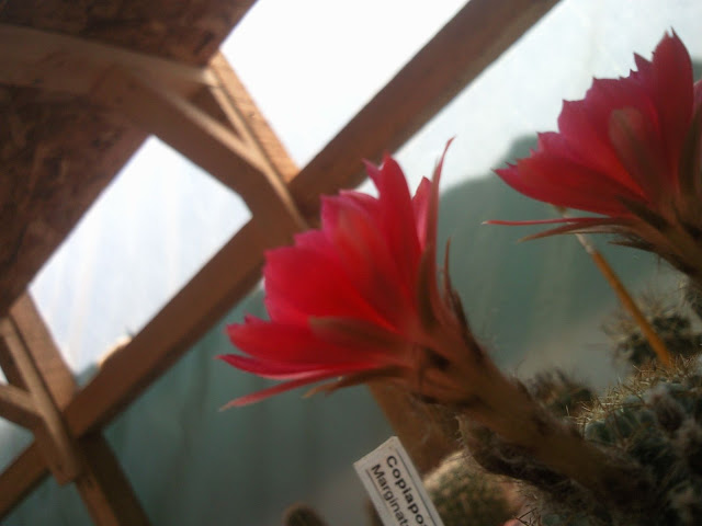 Foto-0010.jpg