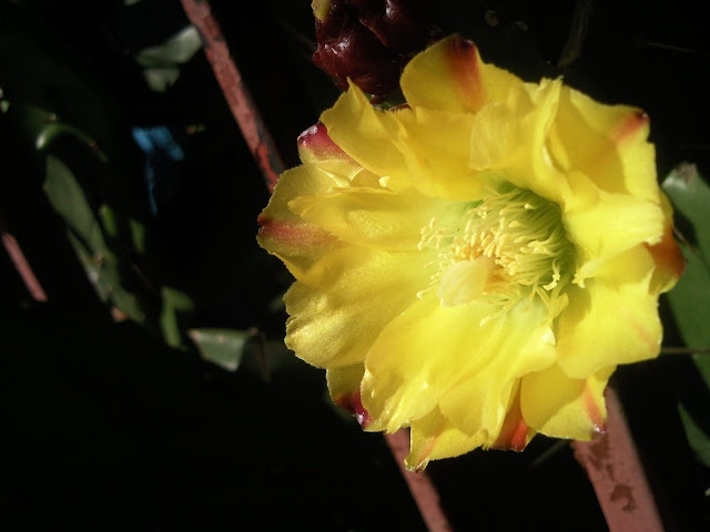 Foto-0013.jpg
