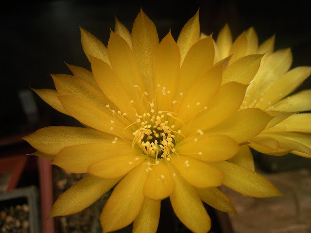 Foto-0013.jpg