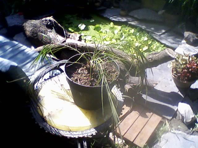 Foto-0018-2.jpg