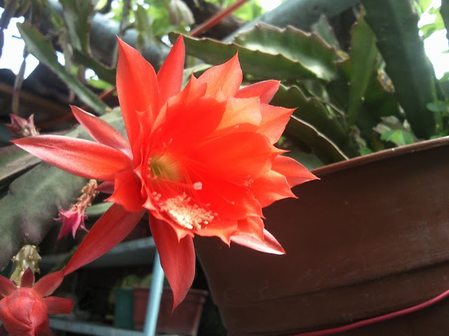 Foto-0024.jpg
