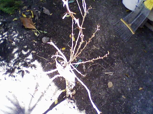Foto-0028-1.jpg