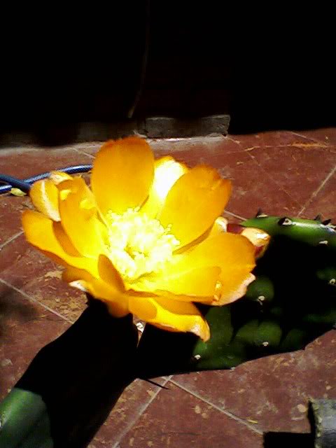 Foto-0053.jpg