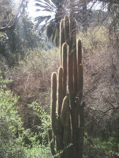 Foto-0072.jpg