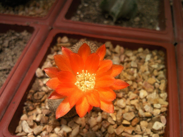 Foto-0077.jpg