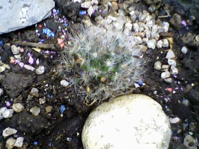 Foto-0078.jpg