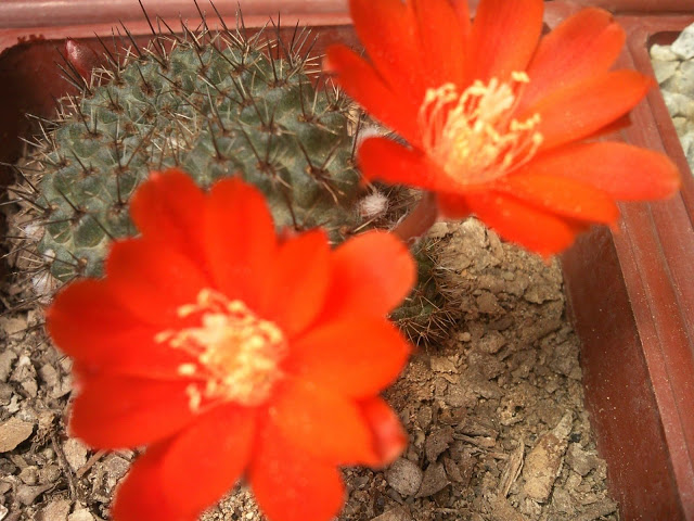 Foto-0078.jpg