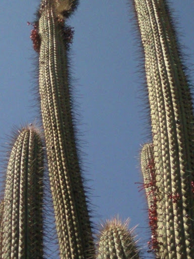 Foto-0103.jpg