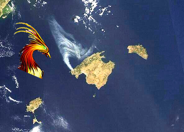foto-aerea-incendio.jpg
