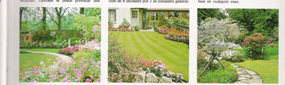 foto-enciclopedia.jpg