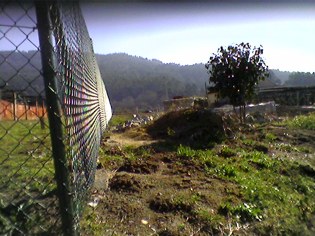 Foto0001.jpg