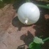 foto00102.jpg