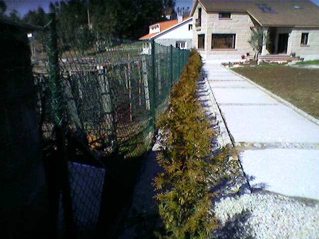 Foto0026.jpg