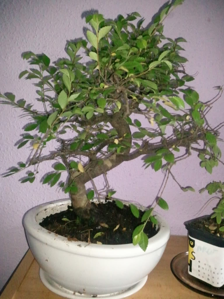 Foto0088.jpg