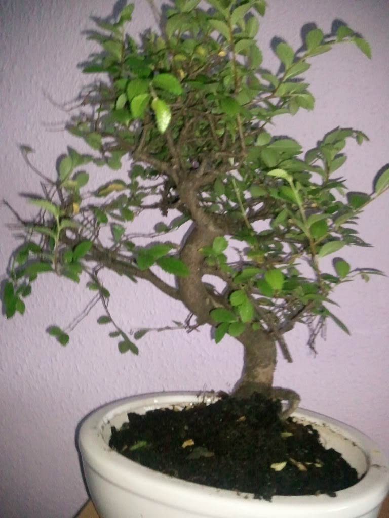 Foto0089.jpg