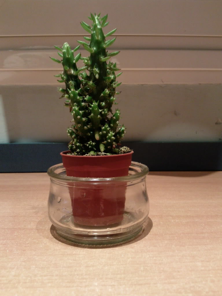 Foto0090.jpg
