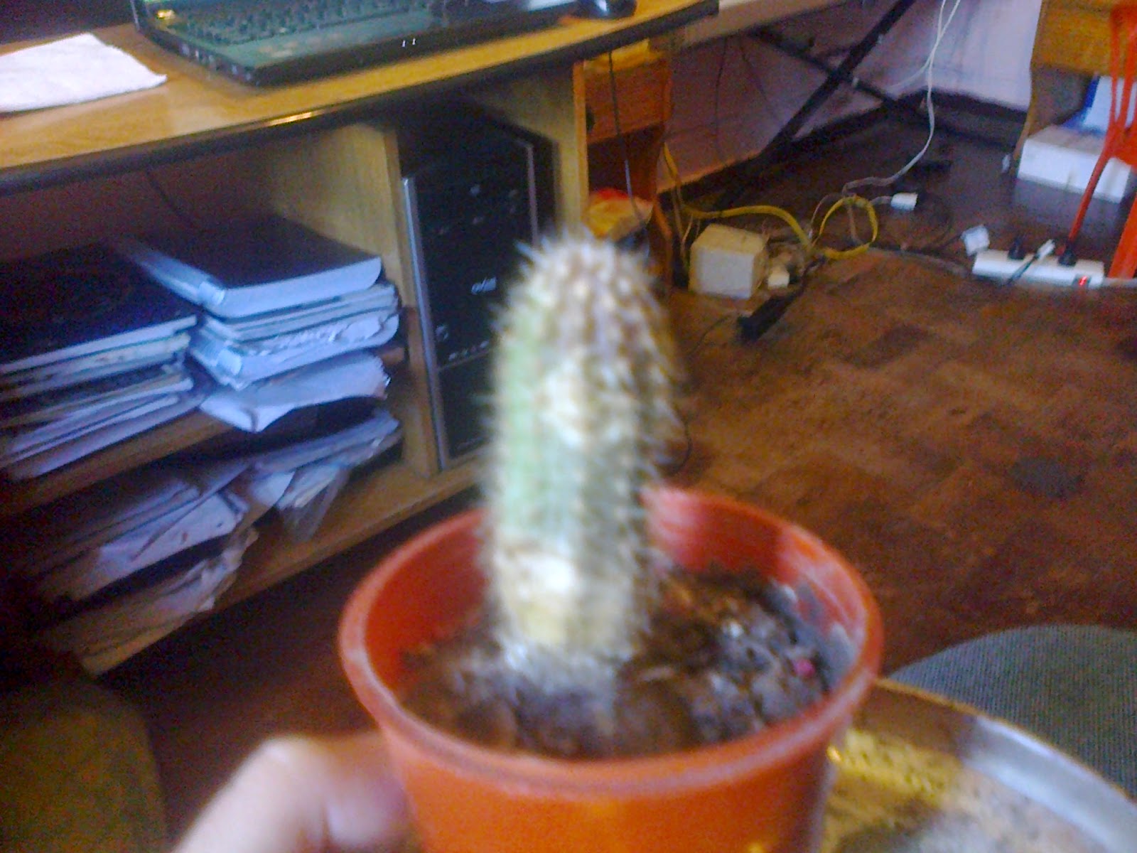 Foto0107.jpg