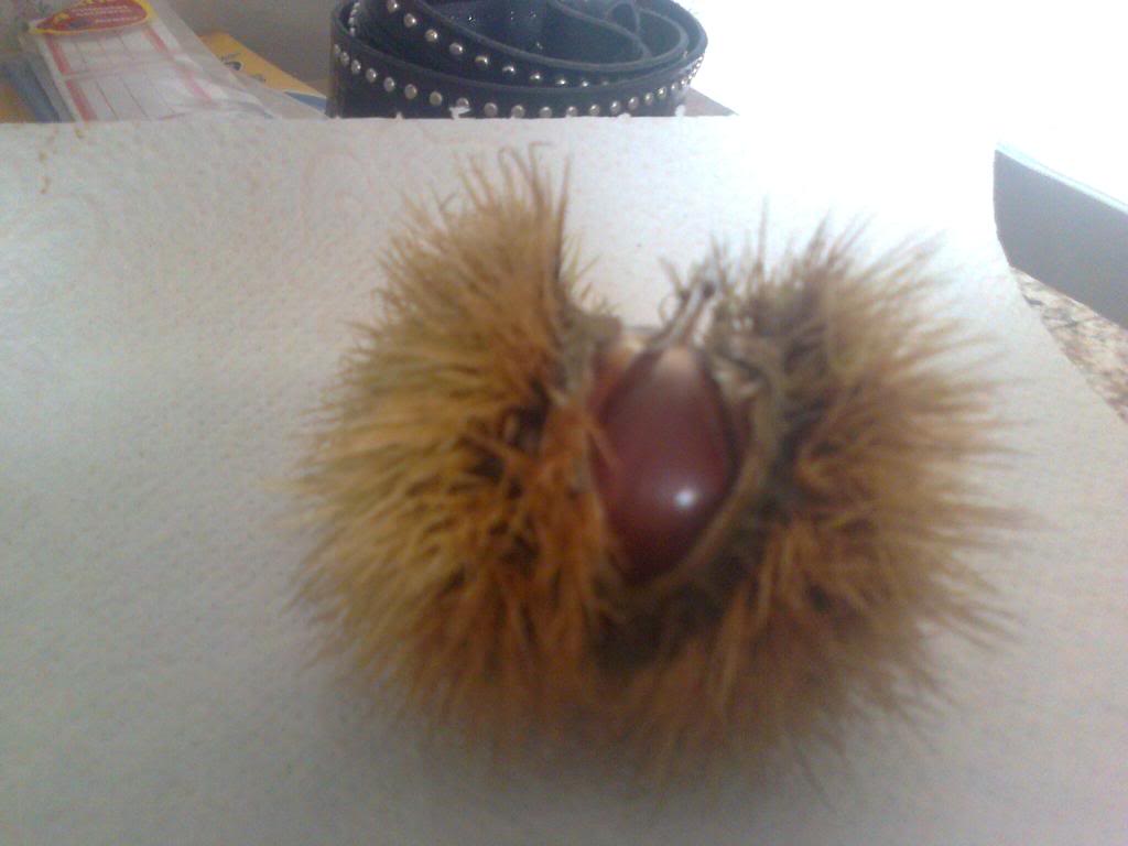 Foto0111.jpg