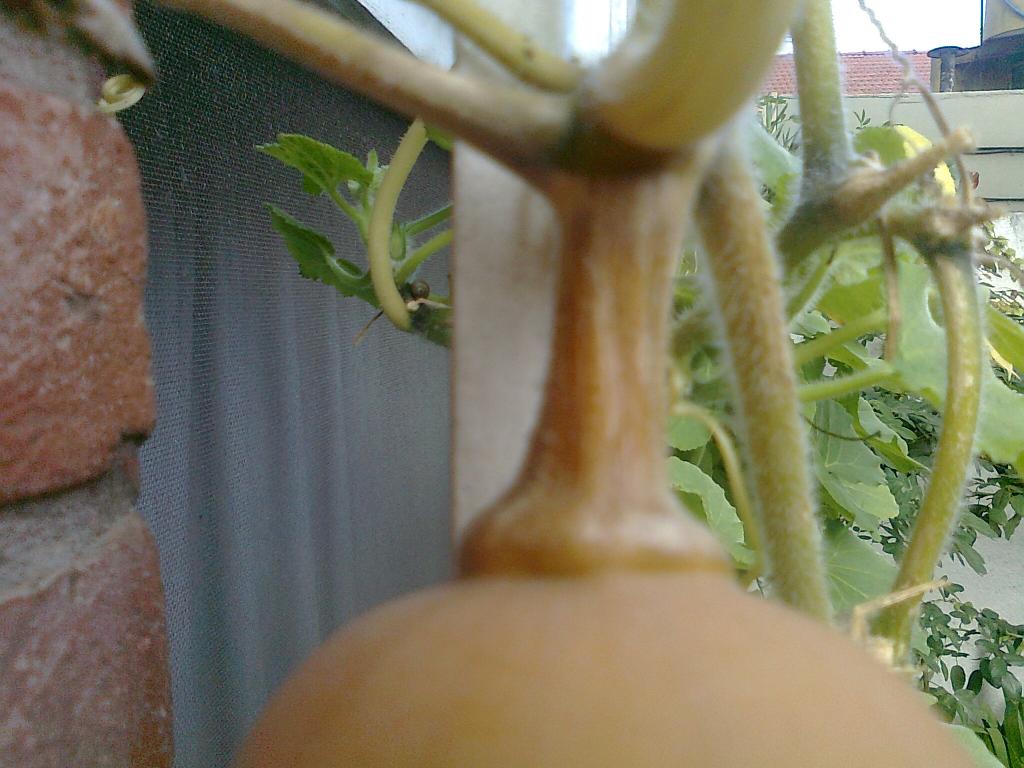 Foto0116_zps60992868.jpg